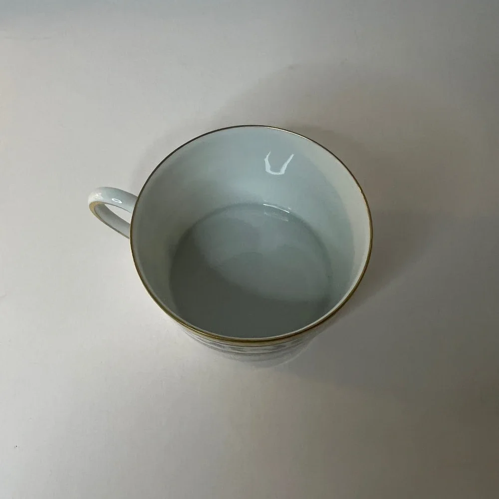 Raynaud Ceralene Morning Glory Spray Limoges Tea Cup Replacement Flat‎ New